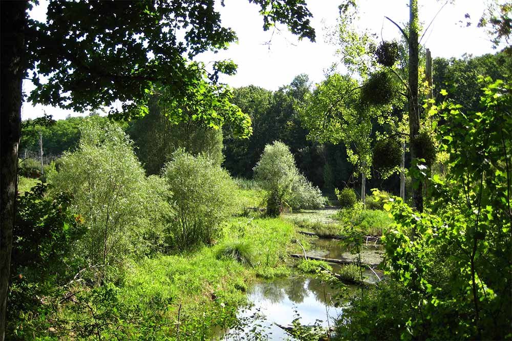 Réserve de Grand-Pierre et Vitain