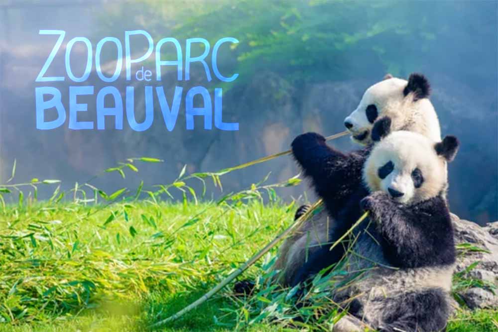 ZooParc de Beauval